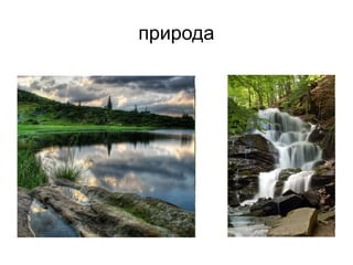 природа
 