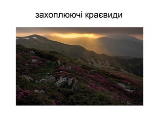 захоплюючі краєвиди
 