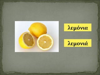 λεμόνια λεμονιά 
