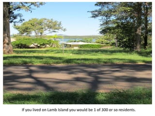 If you lived on Lamb Island you would be 1 of 300 or so residents.
 