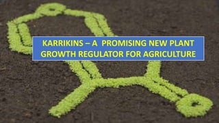 1
KARRIKINS – A PROMISING NEW PLANT
GROWTH REGULATOR FOR AGRICULTURE
 