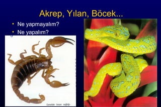 Akrep, Yılan, Böcek...
• Ne yapmayalım?
• Ne yapalım?
 