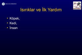 Isırıklar ve İlk Yardım
• Köpek,
• Kedi,
• İnsan
 