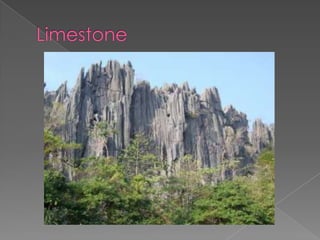 Karsts (Ragnar Ventsel)