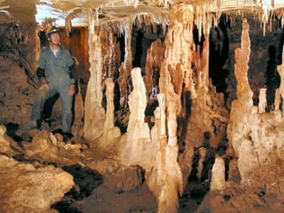 Karsts (Ragnar Ventsel)