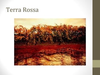 Terra Rossa
 