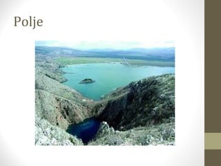 Polje
 