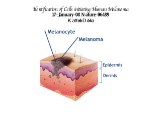 Identification of Cells initiating Human Melanoma 17-January-08 Nature-06489 Kartheek Dokka 