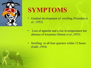 SYMPTOMS
• Gradual development of swelling (Pounden et
al .,1952)
• Loss of appetite and a rise in temperature but
absence of toxaemia (Simon et al.,1953)
• Swelling in all four quarters within 12 hours
(Galli ,1954)
 