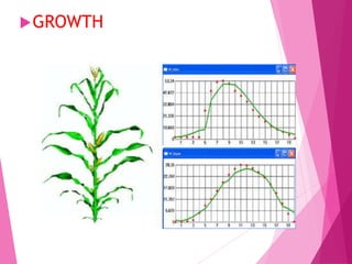 APPLICATION OF MATHS IN AGRICULTURE.pptx