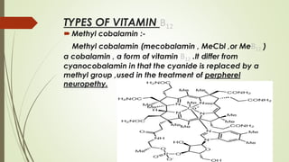 Comprehensive Overview of Vitamin B12 and Thiamine Pyrophosphate (TPP ...
