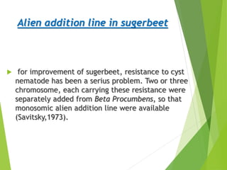 Alien addition line in sugerbeet
 for improvement of sugerbeet, resistance to cyst
nematode has been a serius problem. Two or three
chromosome, each carrying these resistance were
separately added from Beta Procumbens, so that
monosomic alien addition line were available
(Savitsky,1973).
 