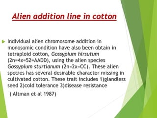 Alien addition line in cotton
 Individual alien chromosome addition in
monosomic condition have also been obtain in
tetraploid cotton, Gossypium hirsutum
(2n=4x=52=AADD), using the alien species
Gossypium sturtianum (2n=2x=CC). These alien
species has several desirable character missing in
cultivated cotton. These trait includes 1)glandless
seed 2)cold tolerance 3)disease resistance
( Altman et al 1987)
 