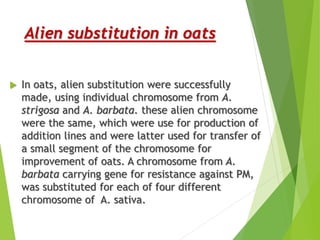Alien substitution in oats
 In oats, alien substitution were successfully
made, using individual chromosome from A.
strigosa and A. barbata. these alien chromosome
were the same, which were use for production of
addition lines and were latter used for transfer of
a small segment of the chromosome for
improvement of oats. A chromosome from A.
barbata carrying gene for resistance against PM,
was substituted for each of four different
chromosome of A. sativa.
 