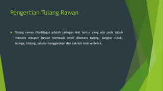 Pengertian Tulang Rawan
 Tulang rawan (Kartilago) adalah jaringan ikat lentur yang ada pada tubuh
manusia maupun hewan termasuk sendi diantara tulang, sangkar rusuk,
telinga, hidung, saluran tenggorokan dan cakram intervertebra.
 