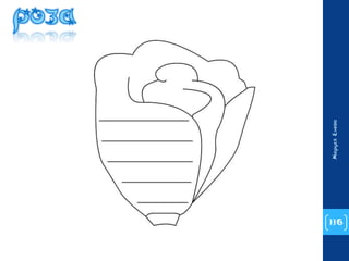 116 
Маруся Енева 
 