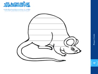 17 
Маруся Енева 
 