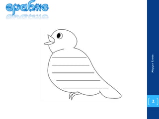 2 
Маруся Енева 
 