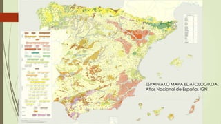 ESPAINIAKO MAPA EDAFOLOGIKOA.
Atlas Nacional de España. IGN
 