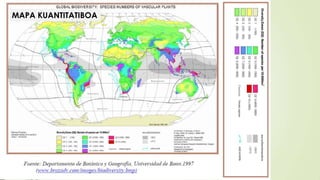 MAPA KUANTITATIBOA
 