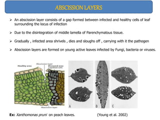Multiple disease resistance in plants | PPTX