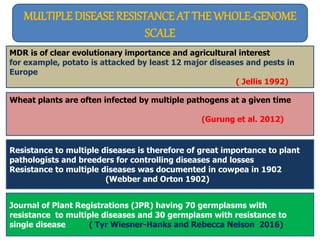 MULTIPLE DISEASE RESISTANCE AT THE WHOLE-GENOME
SCALE
MDR is of clear evolutionary importance and agricultural interest
for example, potato is attacked by least 12 major diseases and pests in
Europe
( Jellis 1992)
Wheat plants are often infected by multiple pathogens at a given time
(Gurung et al. 2012)
Resistance to multiple diseases is therefore of great importance to plant
pathologists and breeders for controlling diseases and losses
Resistance to multiple diseases was documented in cowpea in 1902
(Webber and Orton 1902)
Journal of Plant Registrations (JPR) having 70 germplasms with
resistance to multiple diseases and 30 germplasm with resistance to
single disease ( Tyr Wiesner-Hanks and Rebecca Nelson 2016)
 