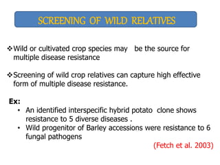 SCREENING OF WILD RELATIVES
Wild or cultivated crop species may be the source for
multiple disease resistance
Screening of wild crop relatives can capture high effective
form of multiple disease resistance.
Ex:
• An identified interspecific hybrid potato clone shows
resistance to 5 diverse diseases .
• Wild progenitor of Barley accessions were resistance to 6
fungal pathogens
(Fetch et al. 2003)
 