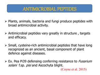 ANTIMICROBIAL PEPTIDES
 Plants, animals, bacteria and fungi produce peptides with
broad antimicrobial activity.
 Antimicrobial peptides vary greatly in structure , targets
and efficacy.
 Small, cysteine-rich antimicrobial peptides that have long
recognized as an ancient, basal component of plant
defence against diseases.
 Ex. Pea Pi39 defensing conferring resistance to Fusarium
solani f.sp. pisi and Ascochyta blight.
(Coyne et al. 2015)
 
