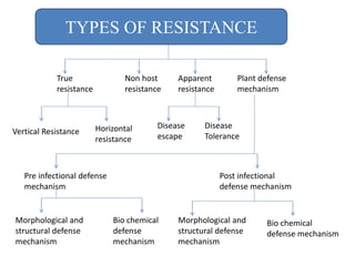 TYPES OF RESISTANCE
Non host
resistance
True
resistance
Apparent
resistance
Plant defense
mechanism
Vertical Resistance Horizontal
resistance
Disease
escape
Disease
Tolerance
Pre infectional defense
mechanism
Post infectional
defense mechanism
Morphological and
structural defense
mechanism
Bio chemical
defense
mechanism
Morphological and
structural defense
mechanism
Bio chemical
defense mechanism
 