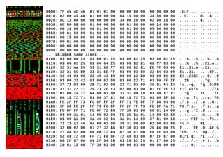 0000: 7F 45 4C 46 01 01 01 00 00 00 00 00 00 00 00 00 .ELF.... ........
0010: 02 00 45 AD 01 00 00 00 64 15 00 00 34 00 00 00 ..E..... d...4...
0020: 8C 13 00 00 00 00 00 00 34 00 20 00 02 00 28 00 ........ 4. ...(.
0030: 0E 00 0B 00 01 00 00 00 00 01 00 00 00 14 00 00 ........ ........
0040: 00 14 00 00 60 01 00 00 60 01 00 00 05 00 00 00 ....`... `.......
0050: 00 01 00 00 01 00 00 00 00 03 00 00 00 18 00 00 ........ ........
0060: 00 18 00 00 06 00 00 00 06 00 00 00 06 00 00 00 ........ ........
0070: 00 01 00 00 00 00 00 00 00 00 00 00 00 00 00 00 ........ ........
0080: 00 00 00 00 00 00 00 00 00 00 00 00 00 00 00 00 ........ ........
0090: 00 00 00 00 00 00 00 00 00 00 00 00 00 00 00 00 ........ ........
... Skipped same lines ...
0100: 03 00 00 25 03 00 01 25 03 00 02 25 03 00 02 25 ...%...% ...%...%
0110: 03 00 02 25 03 00 04 25 03 00 32 31 88 77 03 00 ...%...% ..21.w..
0120: 32 31 AA 99 33 31 88 77 03 00 32 31 EE FF 03 00 21..31.w ..21....
0130: 32 31 CC DD 33 31 EE FF 03 00 03 00 32 46 03 00 21..31.. ....2F..
0140: 32 49 03 00 32 49 42 49 03 00 12 30 03 00 02 30 2I..2IBI ...0...0
0150: 03 00 32 42 03 00 02 09 03 00 22 71 03 00 FF 2F ..2B.... .."q.../
0160: 27 73 03 00 2B 71 02 00 22 71 03 00 36 31 44 33 's..+q.. "q..61D3
0170: 37 31 22 11 26 73 2F 73 02 00 03 00 01 2F 2F 73 71".&s/s .....//s
0180: 02 00 2A 71 04 00 03 00 32 31 00 18 03 00 37 31 ..*q.... 21....71
0190: 00 18 72 71 03 00 37 31 00 18 72 73 03 00 3F 30 ..rq..71 ..rs..?0
01A0: FE 2F FF 73 FC 0F FF 2F FF 73 FE 0F 7F 30 03 00 ./.s.../ .s...0..
01B0: 3F 30 FE 2F FF 73 FC 0F FF 2F FF 73 FE 0F FA 71 ?0./.s.. ./.s...q
01C0: FC 0F FF 71 FE 0F 72 49 7F 30 03 00 CC 01 14 00 ...q..rI .0......
01D0: 03 00 3A 01 14 00 03 00 FE 25 3A 01 14 00 02 30 ..:..... .%:....0
01E0: 03 00 8A 00 3A 46 32 46 3A 01 14 00 37 31 00 18 ....:F2F :...71..
01F0: 72 73 A2 46 9A 00 03 00 39 31 00 00 B2 00 03 00 rs.F.... 91......
0200: 32 0D 02 D0 01 27 32 46 02 30 03 00 26 46 00 25 2....'2F .0..&F.%
0210: 27 46 62 0D 08 00 72 49 07 30 67 0D F8 2F 03 00 'Fb...rI .0g../..
0220: 52 49 72 49 FF 71 F8 0F 72 49 03 00 07 2F 87 00 RIrI.q.. rI.../..
0230: 06 2F 87 00 05 2F 04 2D 03 2B 02 29 01 27 00 25 ./.../.- .+.).'.%
0240: 20 01 15 00 7F 30 03 00 00 00 03 00 00 00 00 00 ....0.. ........
 