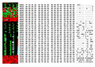 0000: 7F 45 4C 46 01 02 01 00 00 00 00 00 00 00 00 00 .ELF.... ........
0010: 00 02 00 2E 00 00 00 01 00 00 14 00 00 00 00 34 ........ .......4
0020: 00 00 02 54 00 80 00 00 00 34 00 20 00 03 00 28 ...T.... .4. ...(
0030: 00 09 00 06 00 00 00 01 00 00 00 00 00 00 13 6C ........ .......l
0040: 00 00 13 6C 00 00 02 12 00 00 02 12 00 00 00 05 ...l.... ........
0050: 00 00 00 01 00 00 00 01 00 00 02 12 00 00 18 00 ........ ........
0060: 00 00 18 00 00 00 00 04 00 00 00 06 00 00 00 06 ........ ........
0070: 00 00 00 01 00 00 00 01 00 00 02 16 00 00 18 10 ........ ........
0080: 00 00 18 10 00 00 00 00 00 00 04 00 00 00 00 06 ........ ........
0090: 00 00 00 01 79 07 1C 10 5E 00 15 04 79 01 DE AD ....y... ^...y...
00A0: 79 02 BE EF 01 80 54 70 5E 00 00 C6 54 70 5E 00 y.....Tp ^...Tp^.
00B0: 00 C7 54 70 6D F1 1B 87 5E 00 00 C5 0B 87 0B 87 ..Tpm... ^.......
00C0: 54 70 5E 00 00 C9 54 70 5E 00 14 08 1B 87 6E F9 Tp^...Tp ^.....n.
00D0: 00 01 79 02 00 01 0D 71 0B 01 5E 00 14 1A 0B 87 ..y....q ..^.....
00E0: 54 70 6D F4 0D 14 5E 00 14 38 0D 40 6D 74 54 70 Tpm...^. .8.@mtTp
00F0: 6D F4 6D F5 0D 05 0D 14 68 1A 47 0E 6C 49 F1 00 m.m..... h.G.lI..
0100: 0D 50 5E 00 14 4E 68 4A 46 F2 19 00 6D 75 6D 74 .P^..NhJ F...mumt
0110: 54 70 79 03 FF EE 09 37 6D F4 6D F5 0D 05 0D 10 Tpy....7 m.m.....
0120: 0D 21 6F 73 00 18 18 AA 6E FA 00 14 0D 74 8C 13 .!os.... n....t..
0130: 94 00 0D 02 14 9A 14 12 0D 22 46 06 0D 33 46 02 ........ ."F..3F.
0140: 0B 03 0D 02 14 9A 14 12 0D 22 46 04 0D 33 47 30 ........ ."F..3G0
0150: 0D 12 EA 0F E2 00 6E 2A 15 3E 68 CA 1B 04 FA 04 ......n* .>h.....
0160: 11 00 13 08 13 01 13 09 8A FF 46 F4 0D 33 47 02 ........ ..F..3G.
0170: 1B 03 0D 02 14 9A 14 12 0D 22 46 D4 0D 33 46 D0 ........ ."F..3F.
0180: 0D 41 0B 01 0D 50 5E 00 14 5C 19 00 6D 75 6D 74 .A...P^. .¥..mumt
0190: 79 03 00 12 09 37 54 70 6D F4 79 04 00 01 79 01 y....7Tp m.y...y.
01A0: 15 4F 0D 40 5E 00 14 5C 19 22 6D F2 6B 01 18 00 .O.@^..¥ ."m.k...
01B0: 6B 02 18 02 0D 40 5E 00 14 7E 79 01 15 5D 0D 40 k....@^. .~y..].@
01C0: 5E 00 14 5C 19 00 5E 00 14 34 0B 87 19 00 6D 74 ^..¥..^. .4....mt
01D0: 54 70 30 31 32 33 34 35 36 37 38 39 61 62 63 64 Tp012345 6789abcd
01E0: 65 66 00 48 65 6C 6C 6F 20 57 6F 72 6C 64 21 20 ef.Hello World!
01F0: 00 20 54 68 69 73 20 61 72 63 68 69 74 65 63 74 . This a rchitect
 