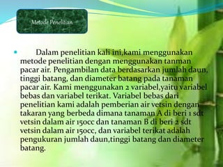  Dalam penelitian kali ini,kami menggunakan
metode penelitian dengan menggunakan tanman
pacar air. Pengambilan data berdasarkan jumlah daun,
tinggi batang, dan diameter batang pada tanaman
pacar air. Kami menggunakan 2 variabel,yaitu variabel
bebas dan variabel terikat. Variabel bebas dari
penelitian kami adalah pemberian air vetsin dengan
takaran yang berbeda dimana tanaman A di beri 1 sdt
vetsin dalam air 150cc dan tanaman B di beri 2 sdt
vetsin dalam air 150cc, dan variabel terikat adalah
pengukuran jumlah daun,tinggi batang dan diameter
batang.
Metode Penelitian
 