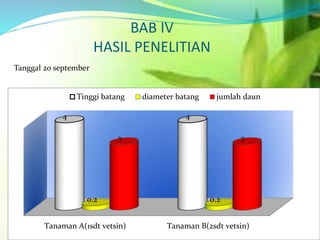 BAB IV
HASIL PENELITIAN
Tanaman A(1sdt vetsin) Tanaman B(2sdt vetsin)
4 4
0.2 0.2
3 3
Tinggi batang diameter batang jumlah daun
Tanggal 20 september
 