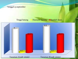 Tanaman A(1sdt vetsin) Tanaman B(2sdt vetsin)
4
4.4
0.2 0.2
3 3
Tinggi batang Diameter batang Jumlah daun
Tanggal 23 september
 