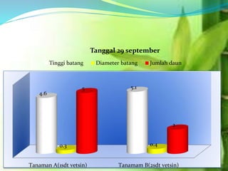 Tanaman A(1sdt vetsin) Tanamam B(2sdt vetsin)
4.6
5.1
0.3 0.4
5
2
Tanggal 29 september
Tinggi batang Diameter batang Jumlah daun
 
