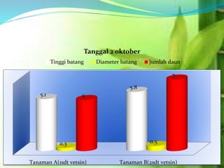 Tanaman A(1sdt vetsin) Tanaman B(2sdt vetsin)
5.1
5.8
0.3 0.5
5
7
Tanggal 2 oktober
Tinggi batang Diameter batang Jumlah daun
 