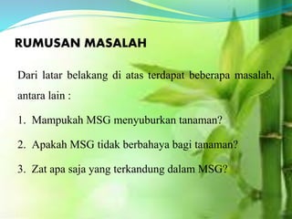 RUMUSAN MASALAH
Dari latar belakang di atas terdapat beberapa masalah,
antara lain :
1. Mampukah MSG menyuburkan tanaman?
2. Apakah MSG tidak berbahaya bagi tanaman?
3. Zat apa saja yang terkandung dalam MSG?
 