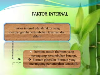 FAKTOR INTERNAL
Faktor internal adalah faktor yang
mempengaruhi pertumbuhan tanaman dari
dalam
 hormon auksin (hormon yang
merangsang pertumbuhan batang),
 hormon giberalin (hormon yang
merangsang pertumbuhan tunas),dll.
 