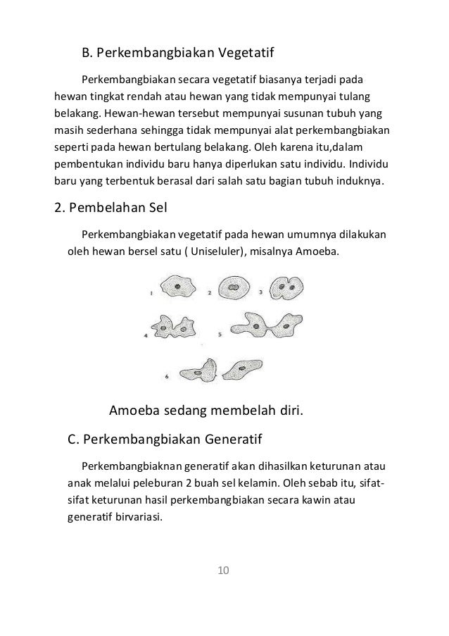 Karya tulis ilmiah biologi "perkembangbiakan pada hewan"