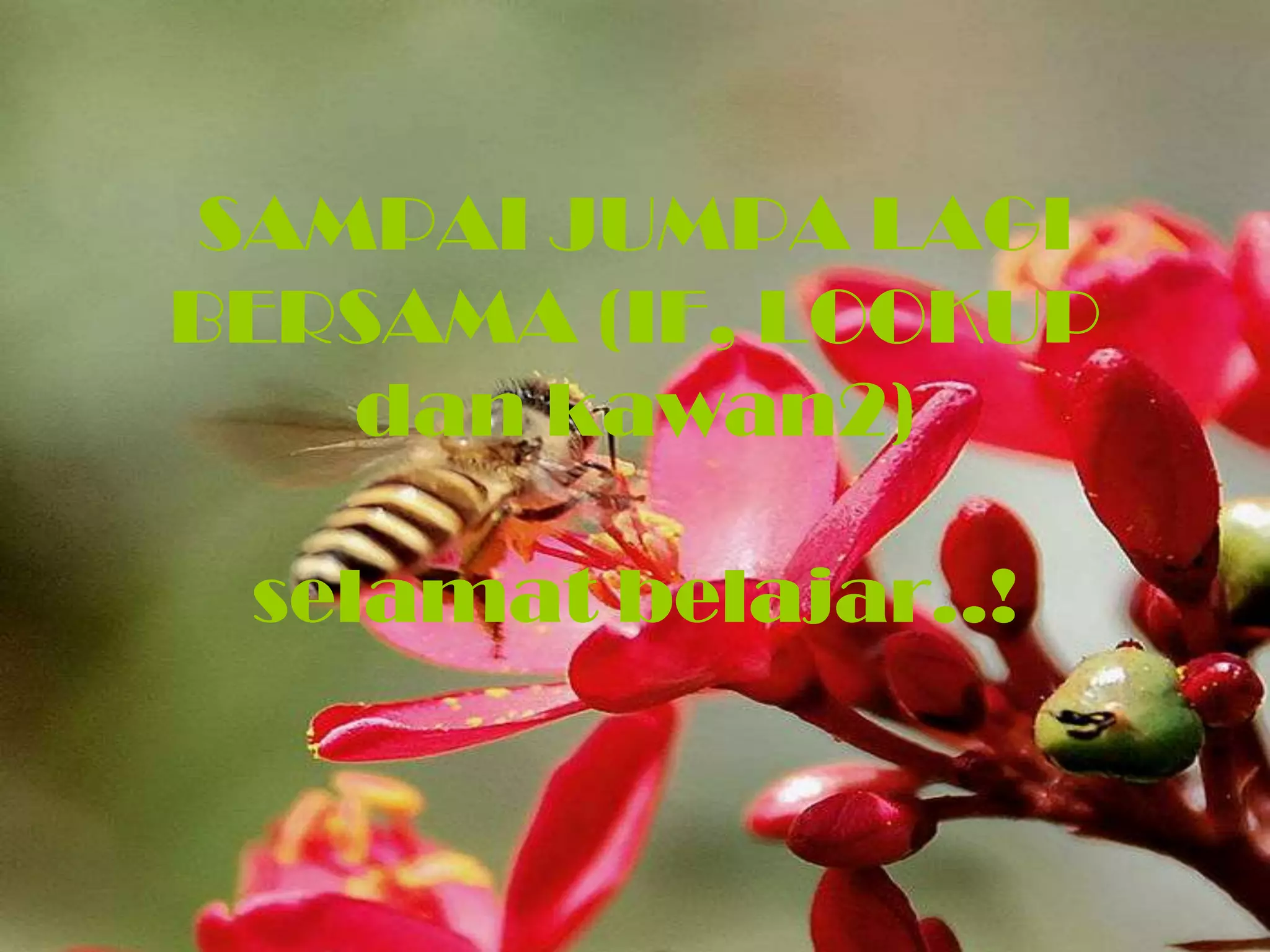 SAMPAI JUMPA LAGI
BERSAMA (IF, LOOKUP
   dan kawan2)

 selamat belajar..!
 