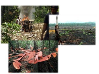 3. Kesimpulandan saranTidakadaketentuanmengikat …Bukadiribukahati