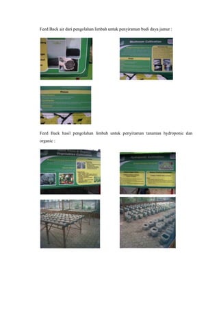 Feed Back air dari pengolahan limbah untuk penyiraman budi daya jamur :
Feed Back hasil pengolahan limbah untuk penyiraman tanaman hydroponic dan
organic :
 