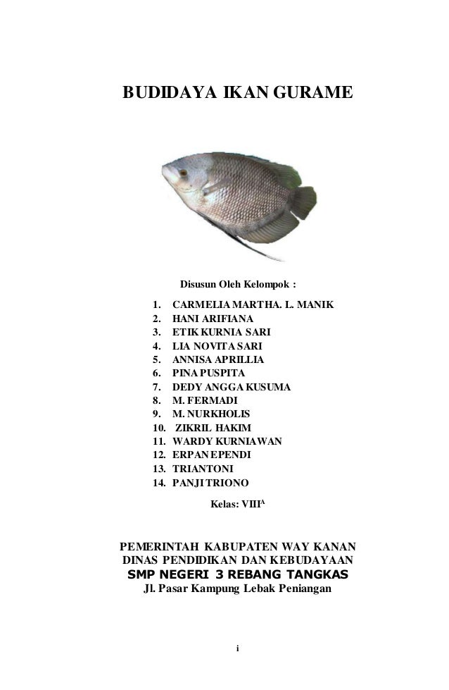 Contoh Makalah Budidaya Ikan Lele - Img Your Contoh Makalah Budidaya Ikan Lele - Img Your