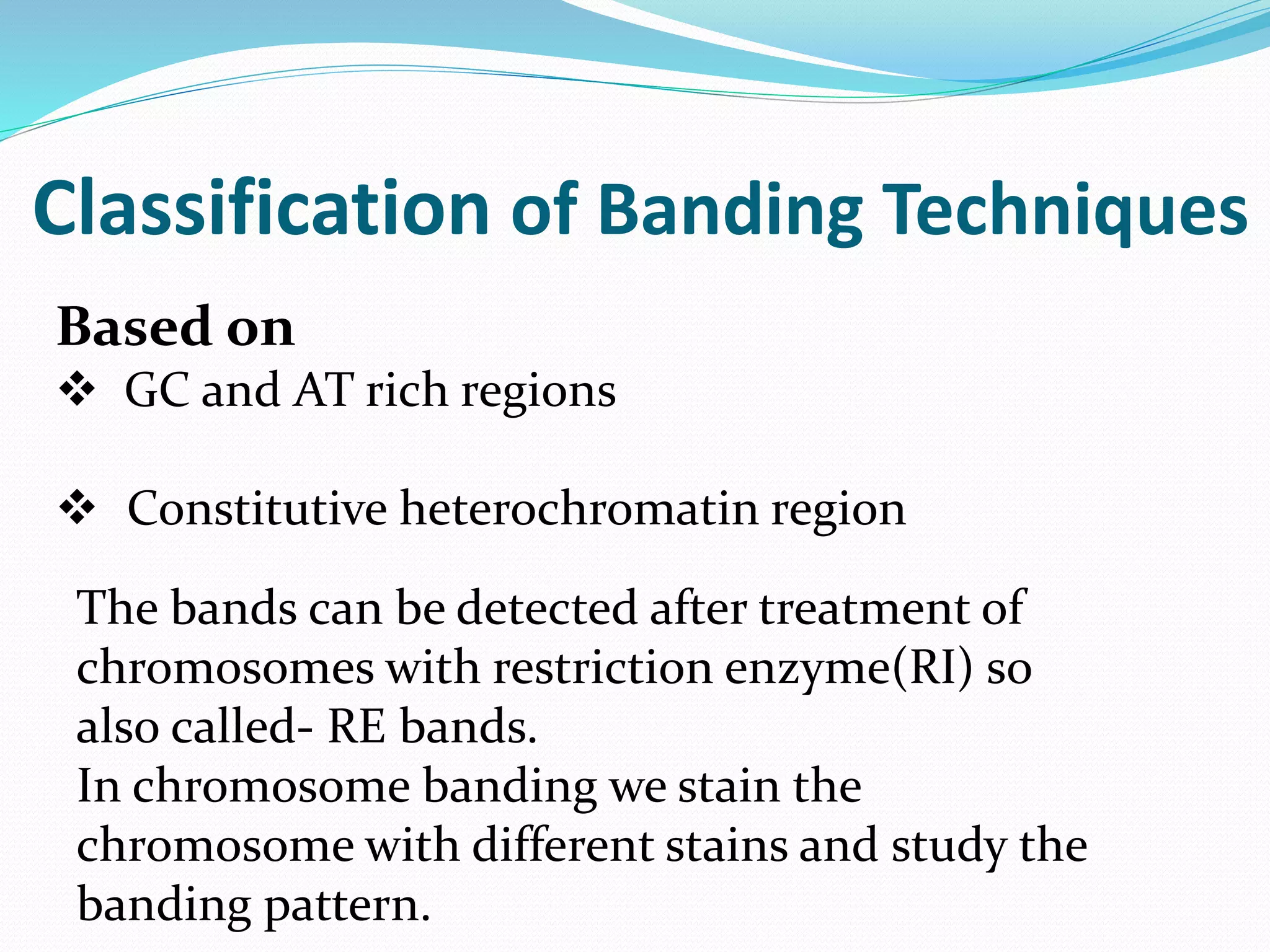 Classification of Banding Techniques
Based on
 GC and AT rich regions
 Constitutive heterochromatin region
The bands can be detected after treatment of
chromosomes with restriction enzyme(RI) so
also called- RE bands.
In chromosome banding we stain the
chromosome with different stains and study the
banding pattern.
 
