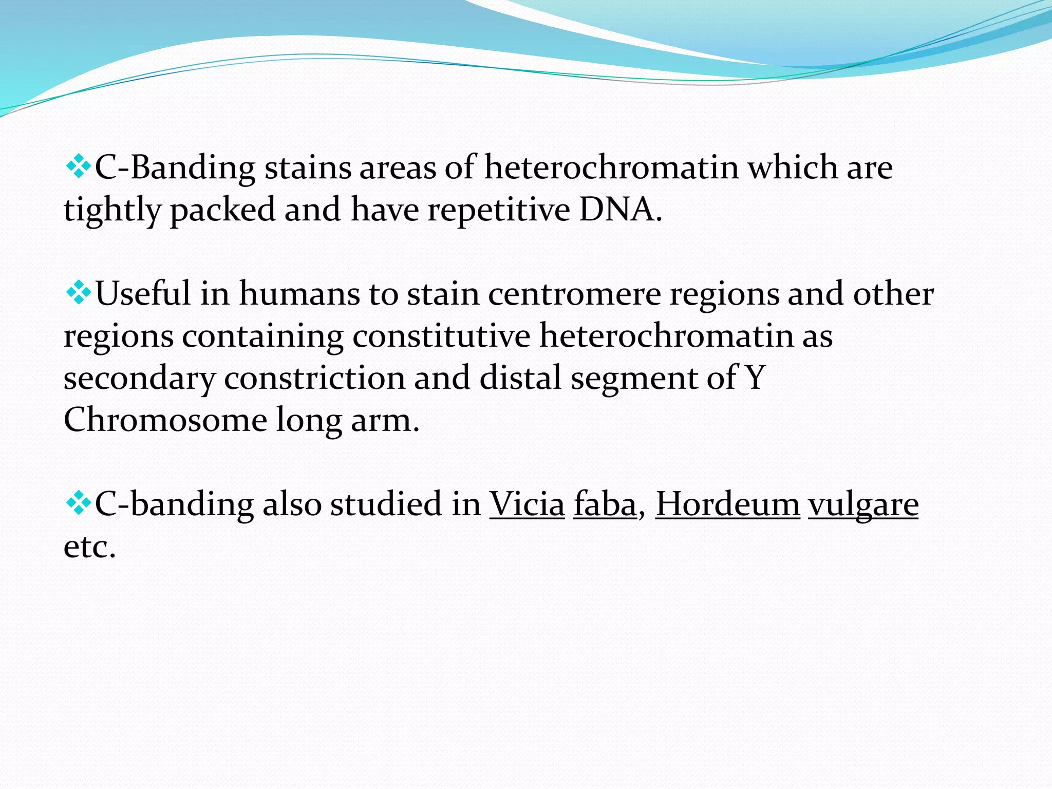 C-Banding stains areas of heterochromatin which are
tightly packed and have repetitive DNA.
Useful in humans to stain centromere regions and other
regions containing constitutive heterochromatin as
secondary constriction and distal segment of Y
Chromosome long arm.
C-banding also studied in Vicia faba, Hordeum vulgare
etc.
 
