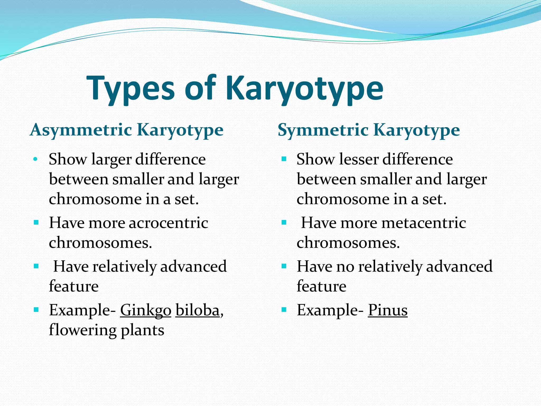 Types of Karyotype
Asymmetric Karyotype Symmetric Karyotype
• Show larger difference
between smaller and larger
chromosome in a set.
 Have more acrocentric
chromosomes.
 Have relatively advanced
feature
 Example- Ginkgo biloba,
flowering plants
 Show lesser difference
between smaller and larger
chromosome in a set.
 Have more metacentric
chromosomes.
 Have no relatively advanced
feature
 Example- Pinus
 