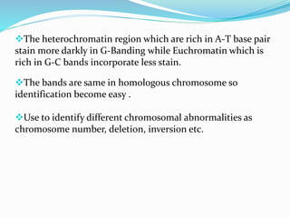 The heterochromatin region which are rich in A-T base pair
stain more darkly in G-Banding while Euchromatin which is
rich in G-C bands incorporate less stain.
The bands are same in homologous chromosome so
identification become easy .
Use to identify different chromosomal abnormalities as
chromosome number, deletion, inversion etc.
 