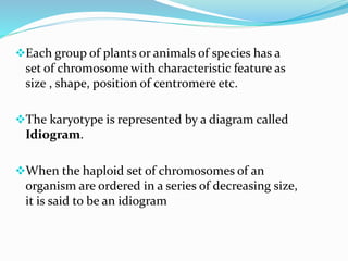 Each group of plants or animals of species has a
set of chromosome with characteristic feature as
size , shape, position of centromere etc.
The karyotype is represented by a diagram called
Idiogram.
When the haploid set of chromosomes of an
organism are ordered in a series of decreasing size,
it is said to be an idiogram
 
