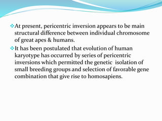 At present, pericentric inversion appears to be main
structural difference between individual chromosome
of great apes & humans.
It has been postulated that evolution of human
karyotype has occurred by series of pericentric
inversions which permitted the genetic isolation of
small breeding groups and selection of favorable gene
combination that give rise to homosapiens.
 