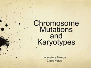 Chromosome
  Mutations
    and
 Karyotypes
  Laboratory Biology
     Class Notes
 